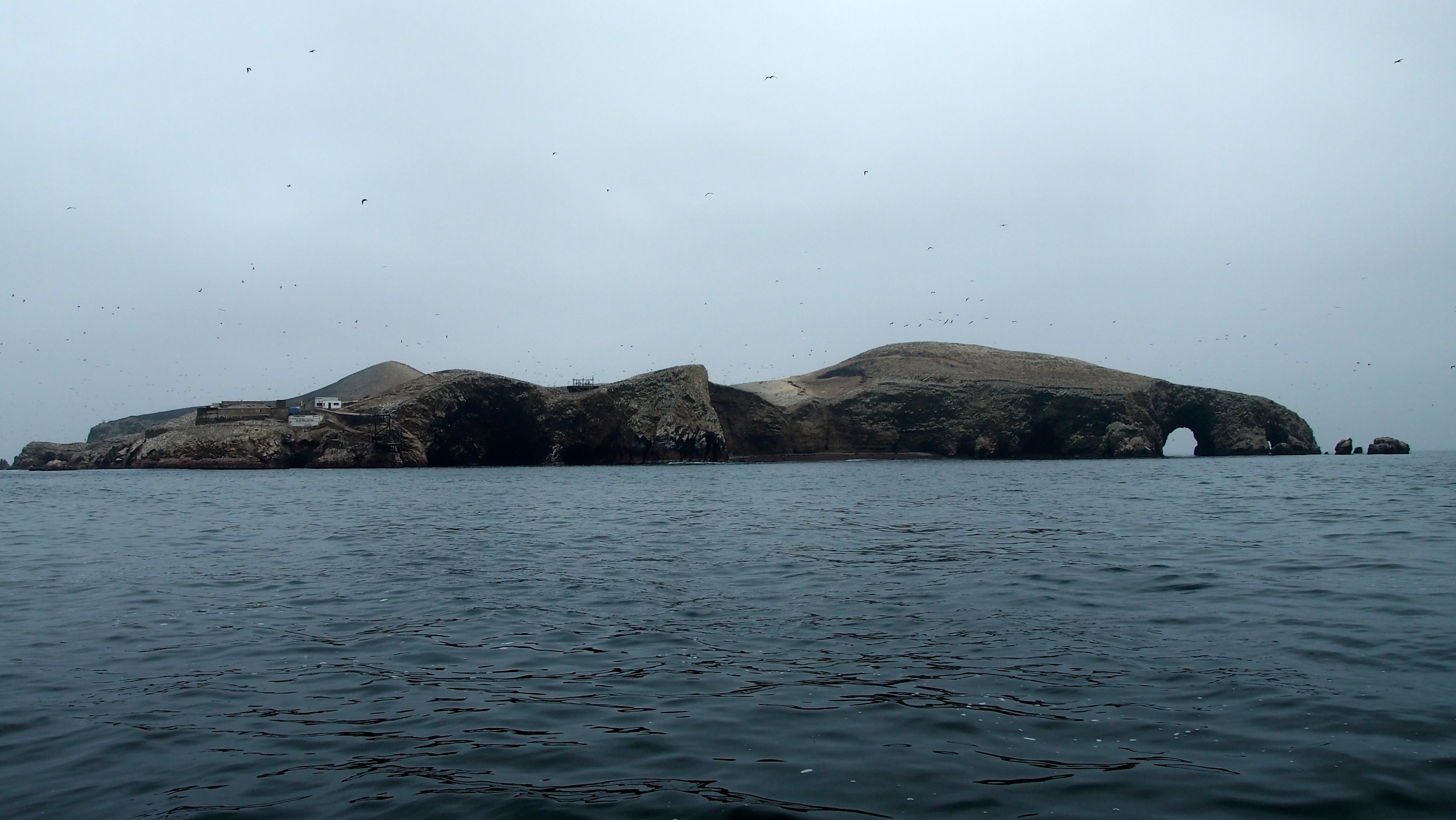 Islas Ballestas - Paracas, Peru