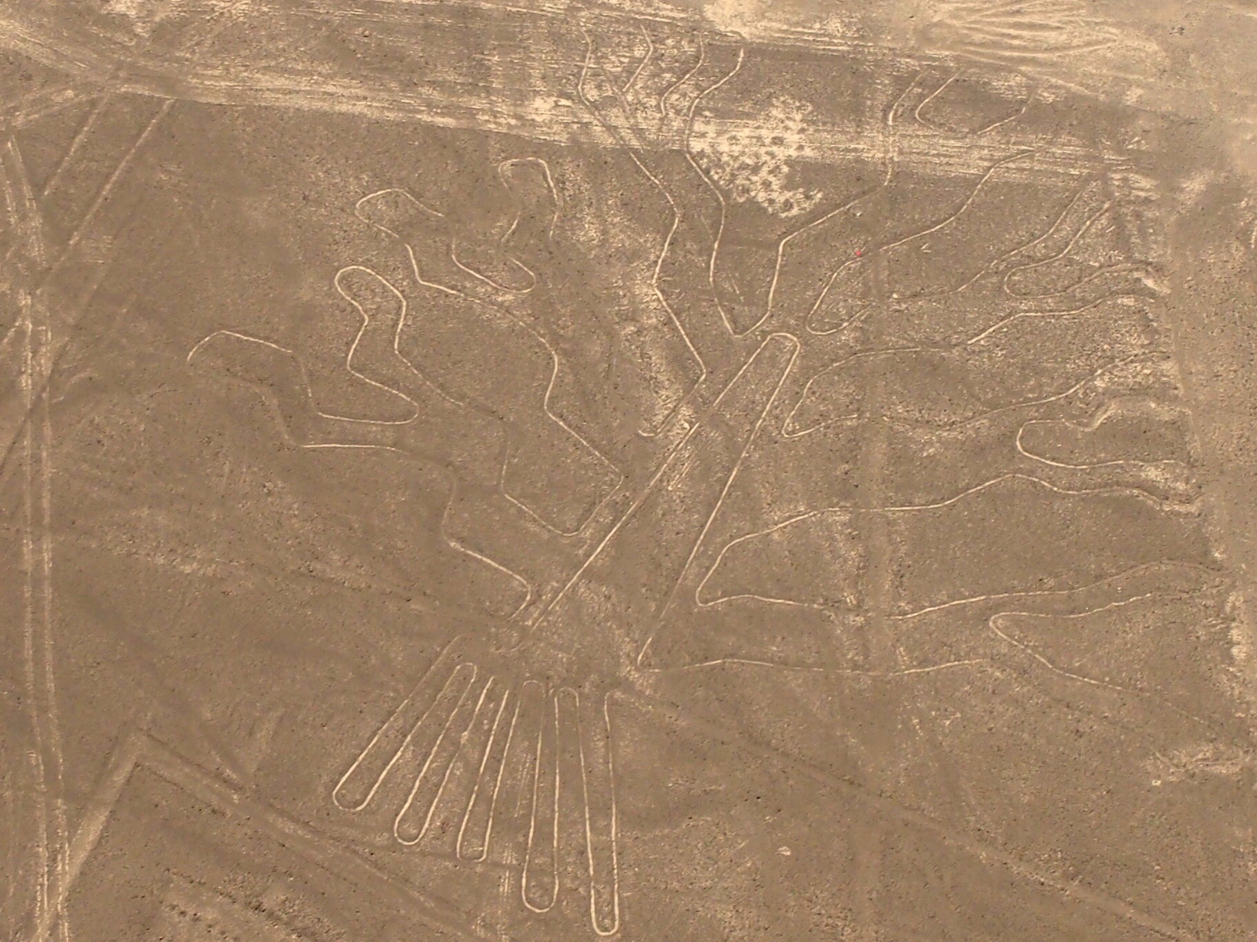 Nazca Lines - Nazca, Peru