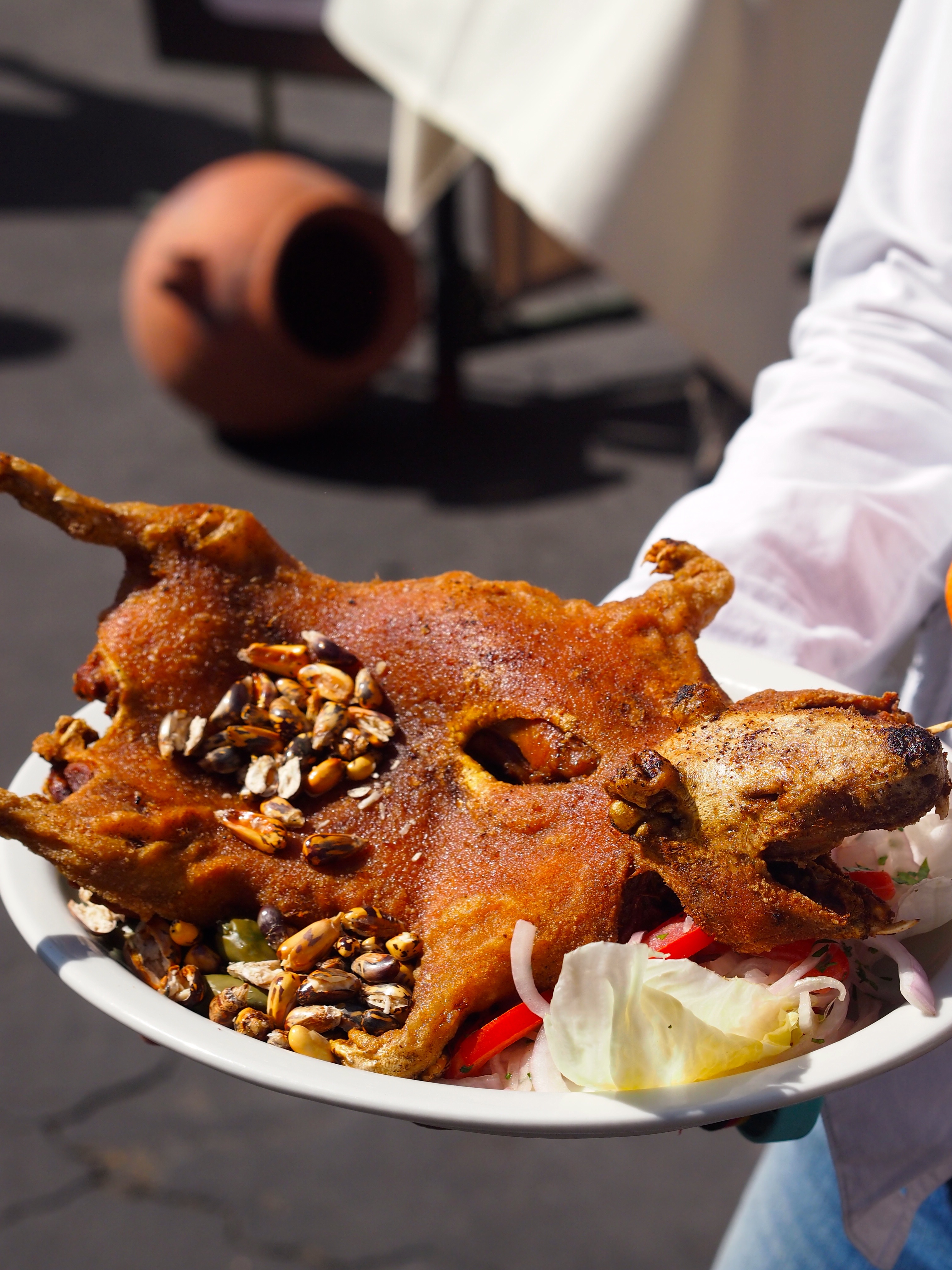 Cuy at the Yanahuara Food Festival - Arequipa, Peru
