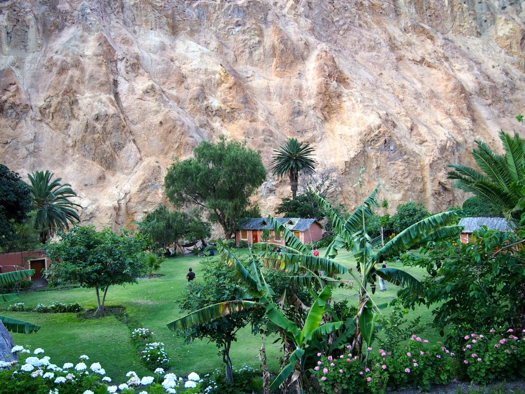 Sangalle Oasis- Colca Canyon Trek, Peru