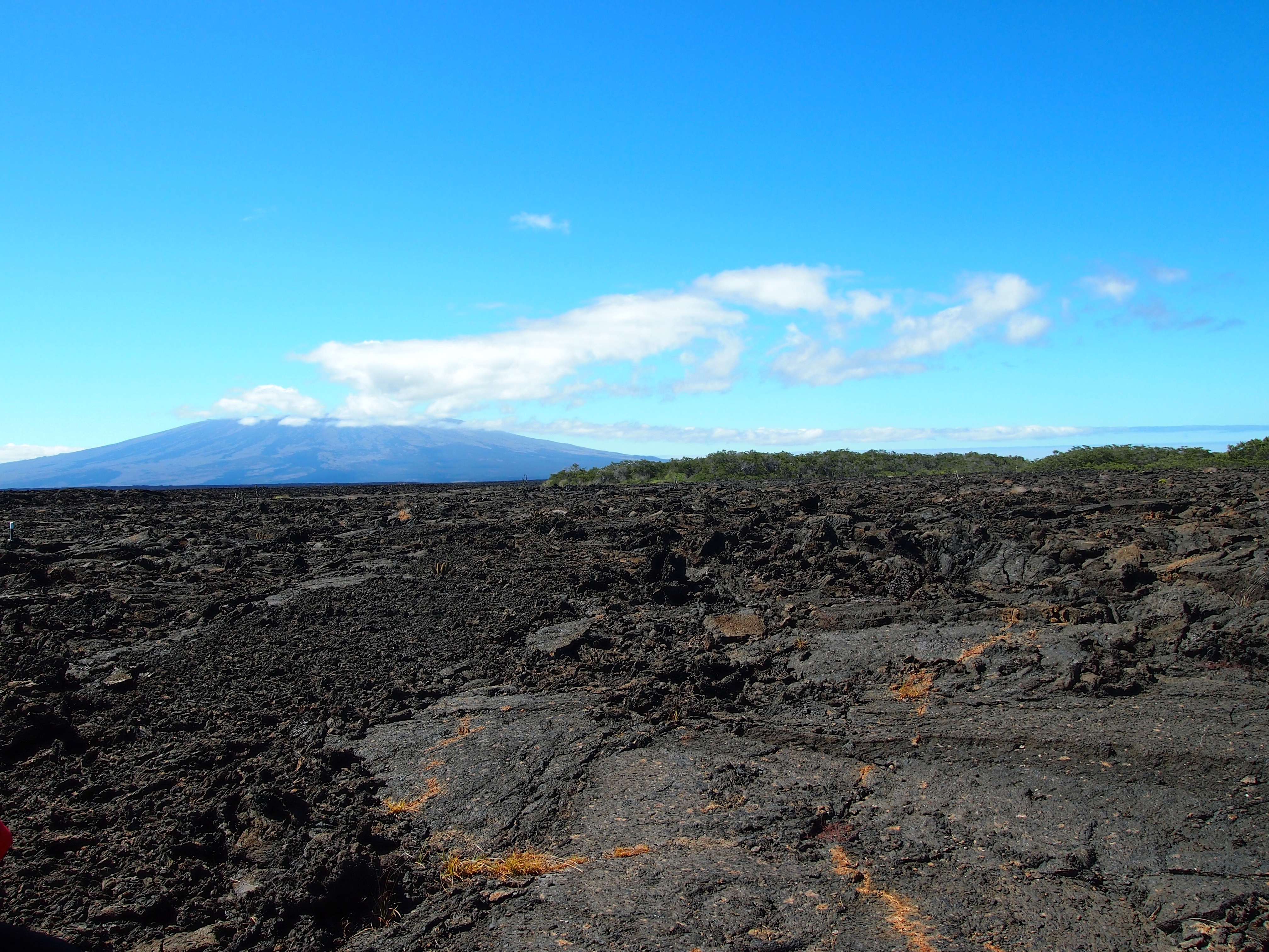 Isabela, Galapagos