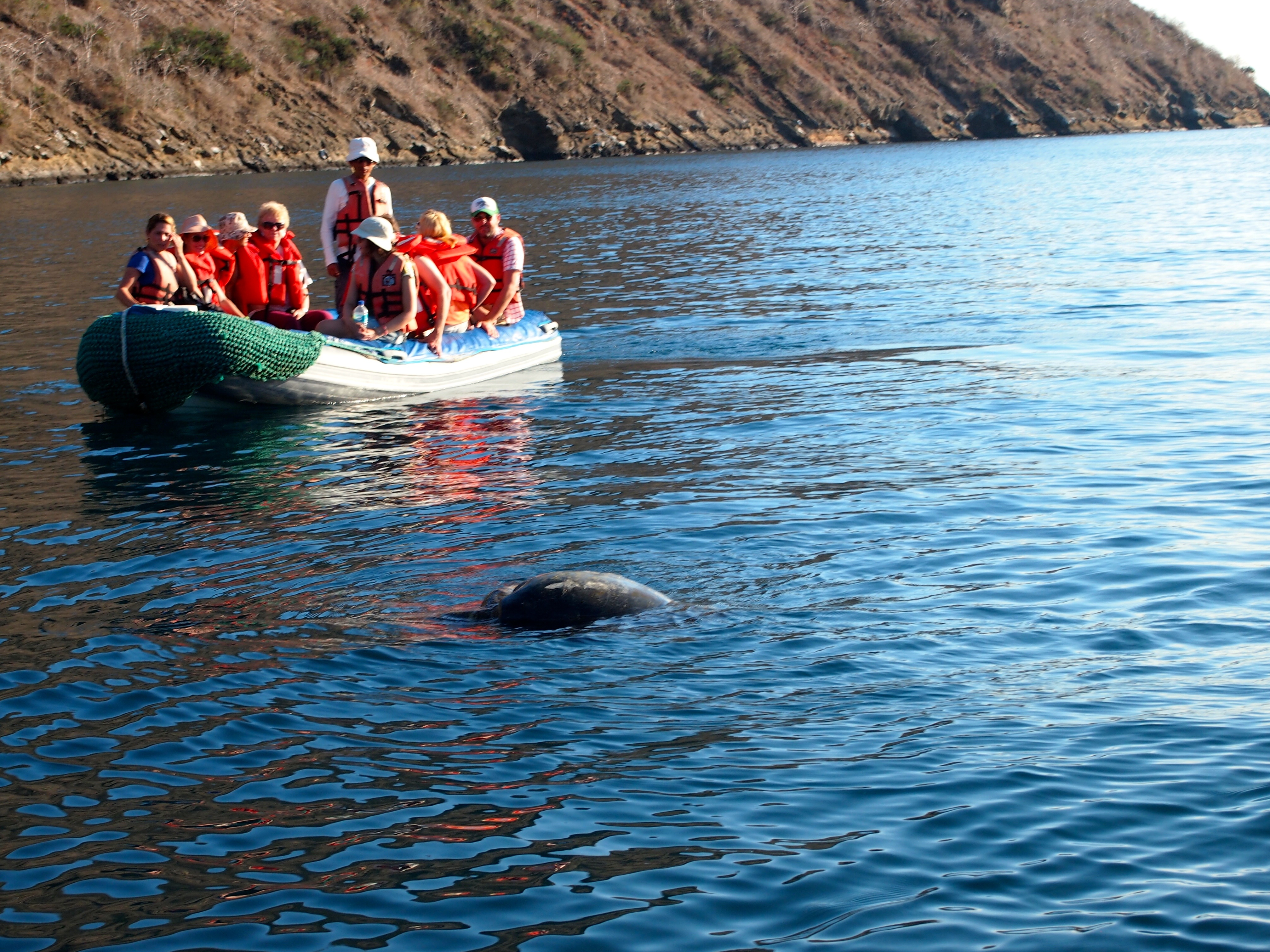 Tagus Cove (Darwin's Pond), Galapagos