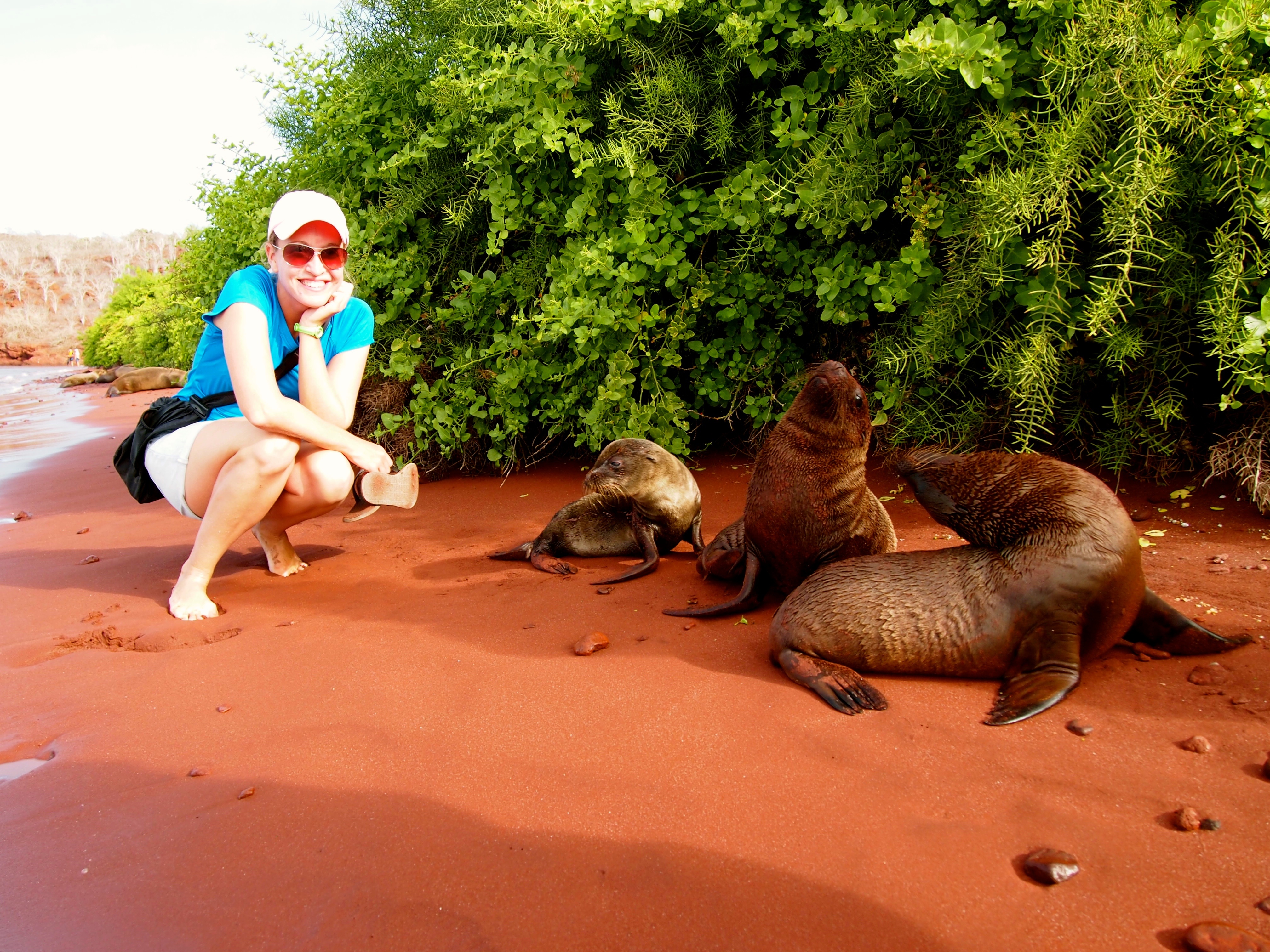 Rabida, Galapagos