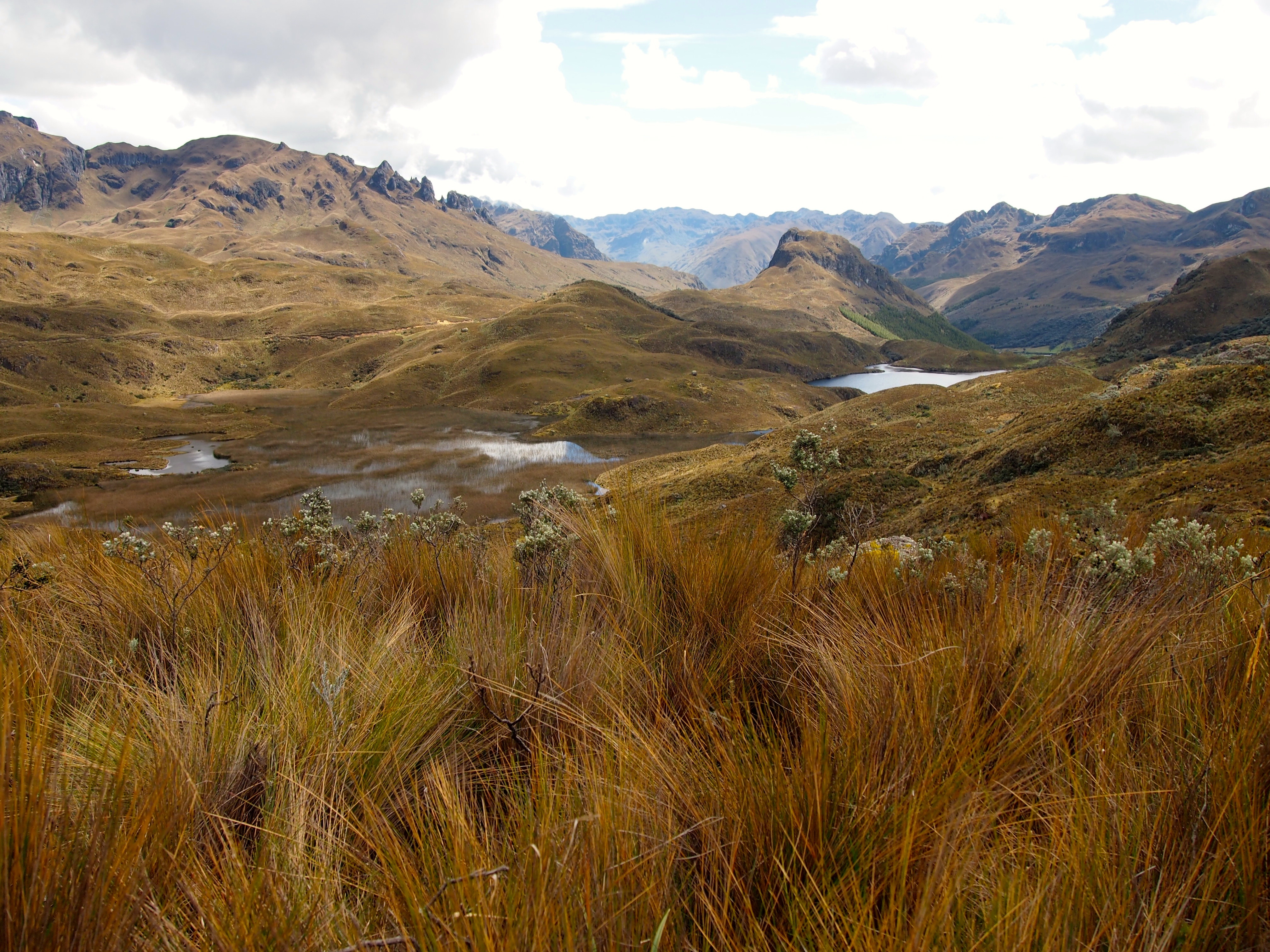 Cajas National Park, Ecuador