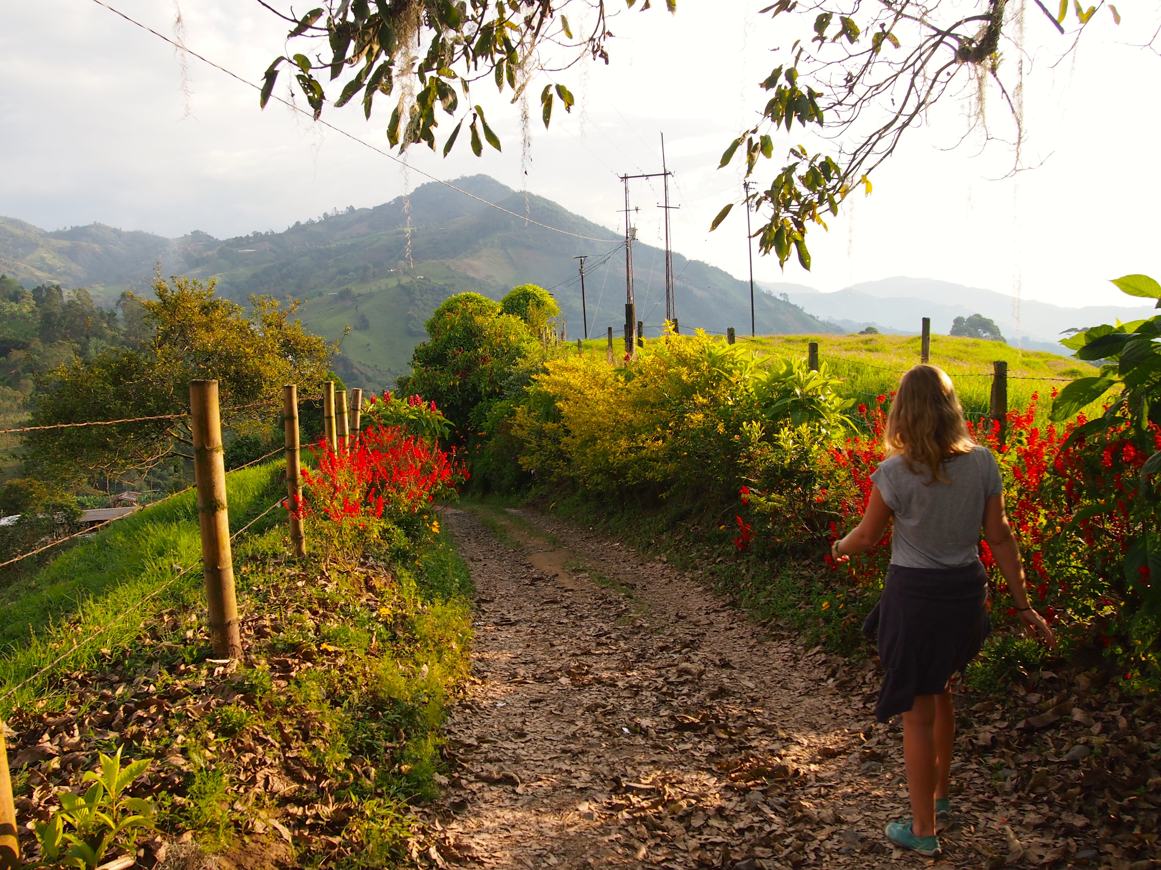 Secret Garden Hostel - Manizales, Colombia