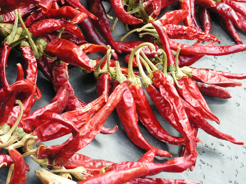 paprika