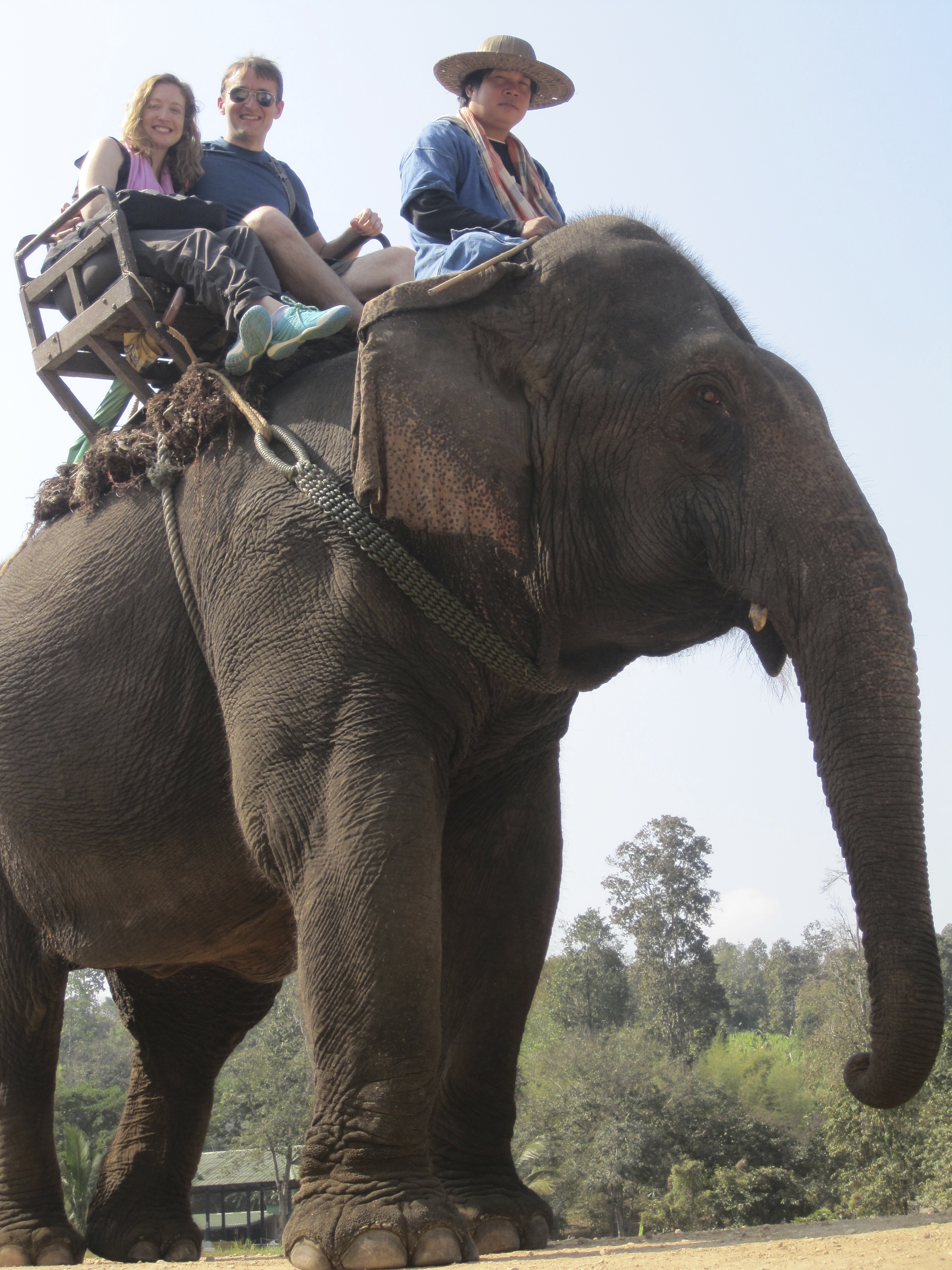 Thai Elephant Conservation Center