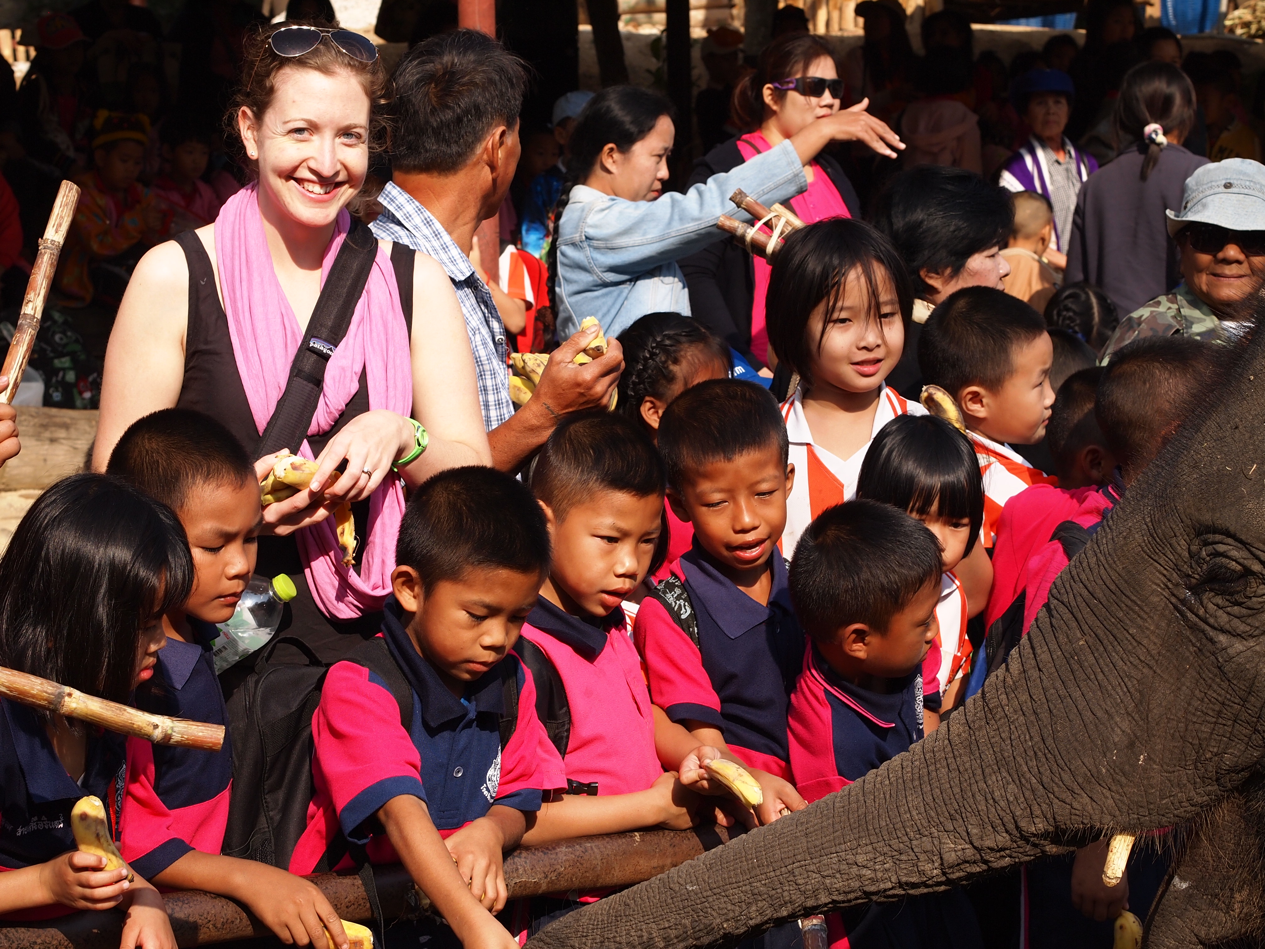 Thai Elephant Conservation Center