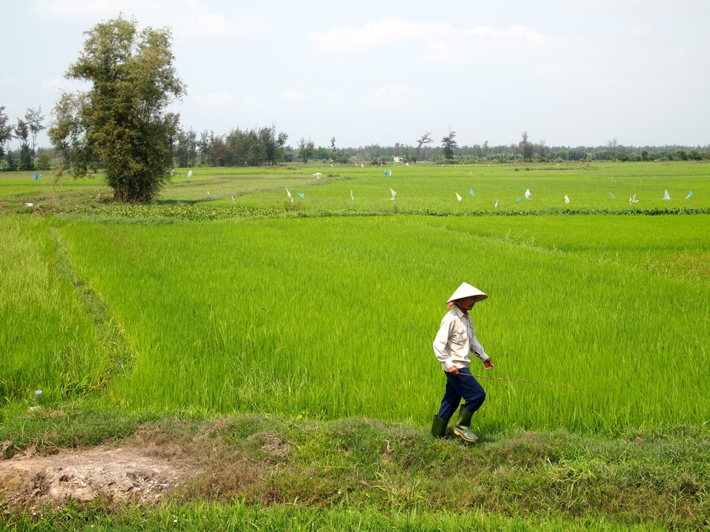 Hoi An - 158