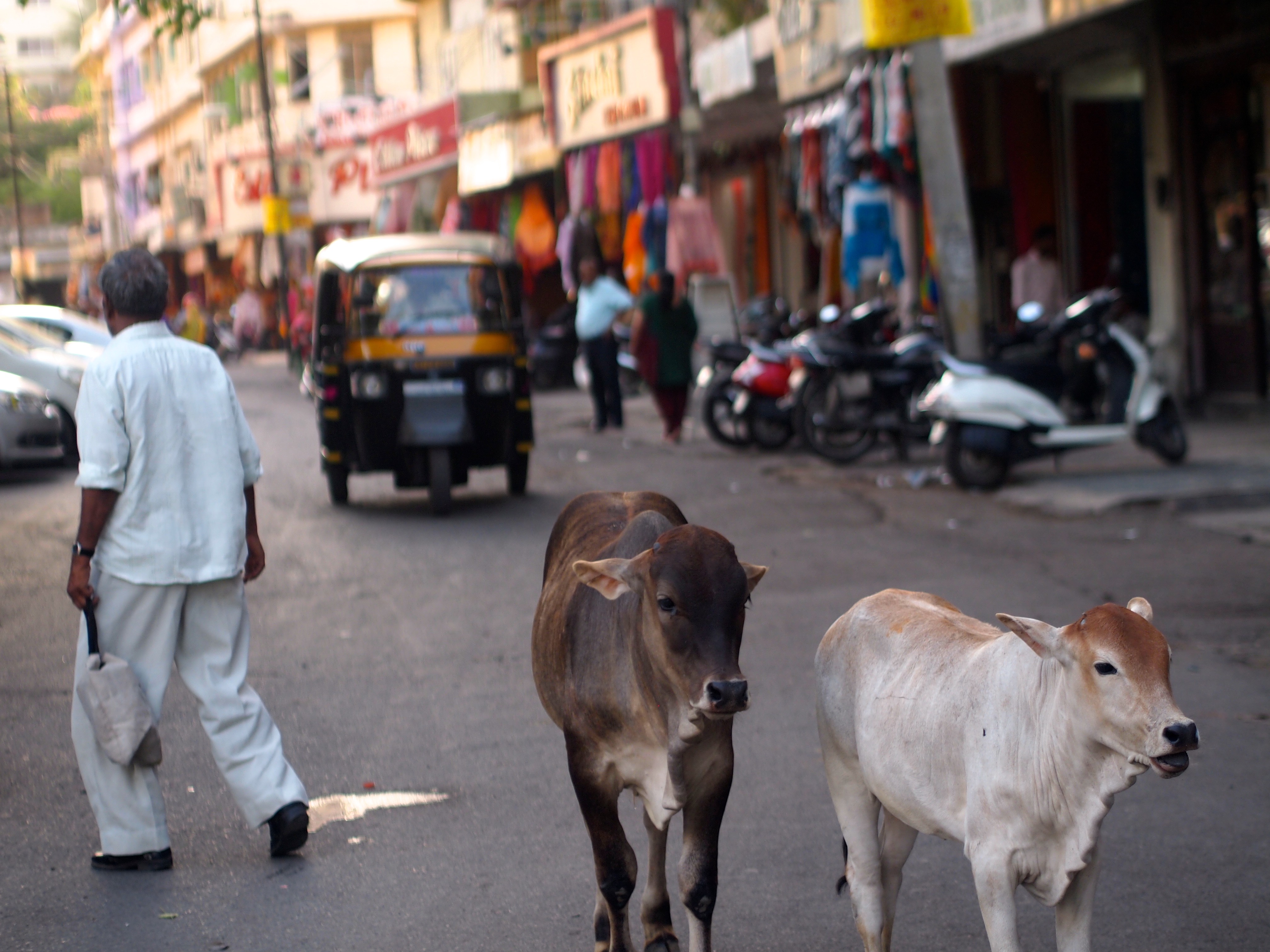 Udaipur, India