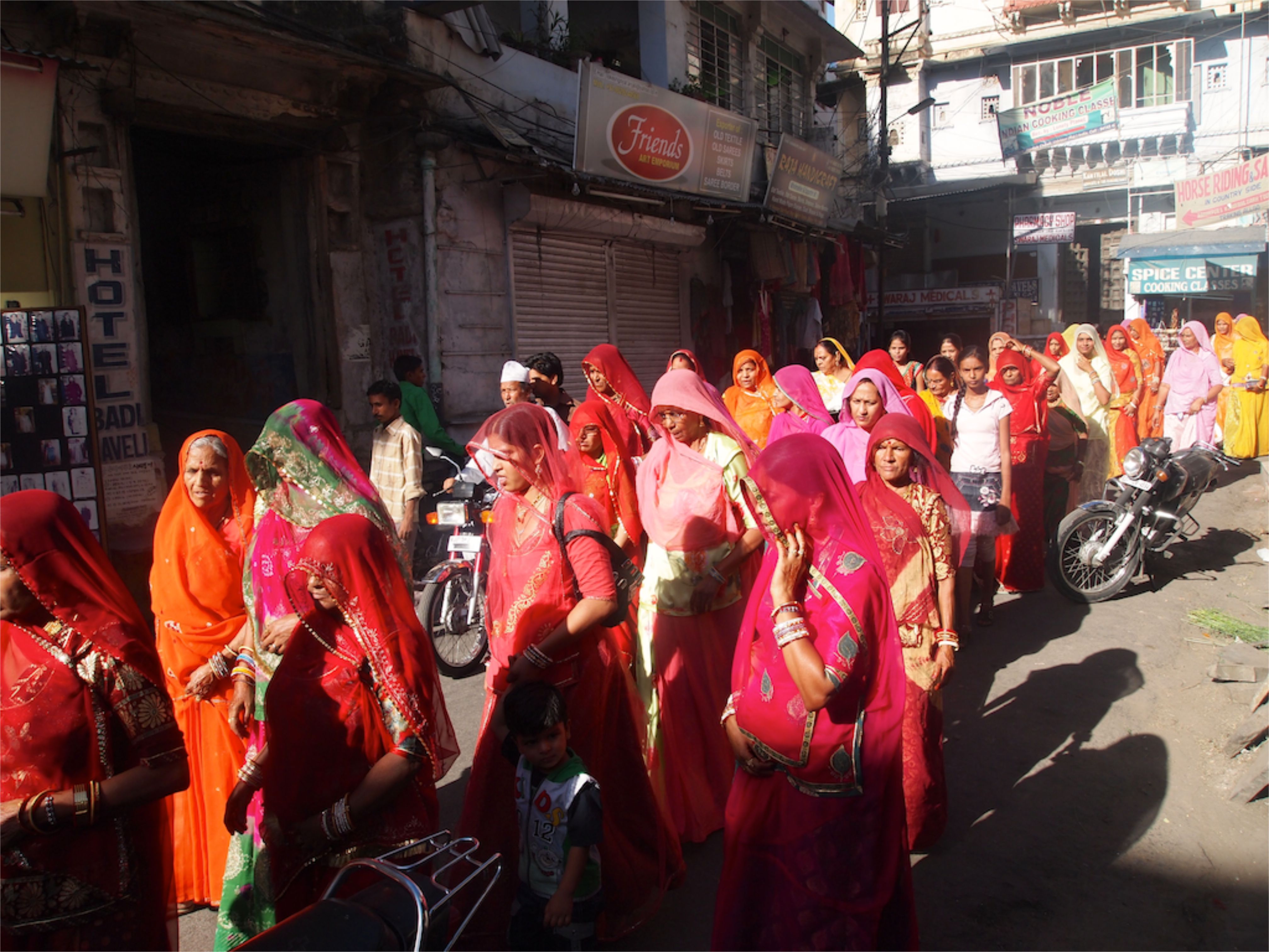 Wedding Procession - Udaipur, India