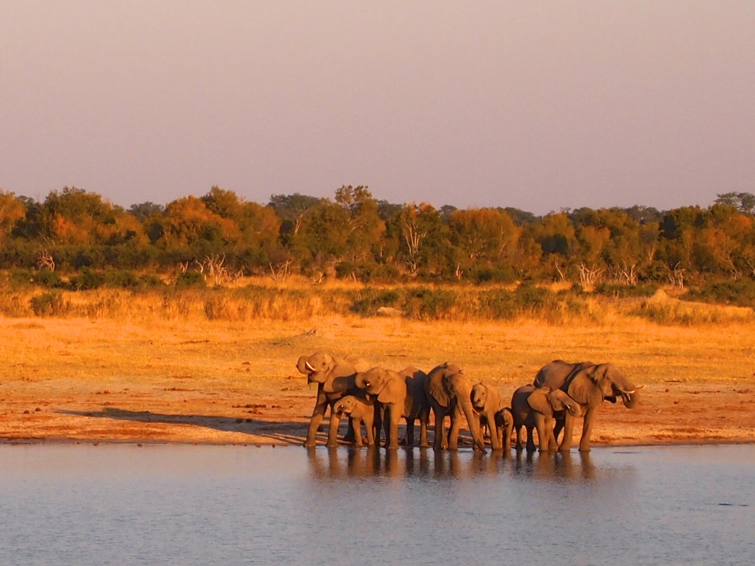 Hwange National Park, Zimbabwe - Version 2