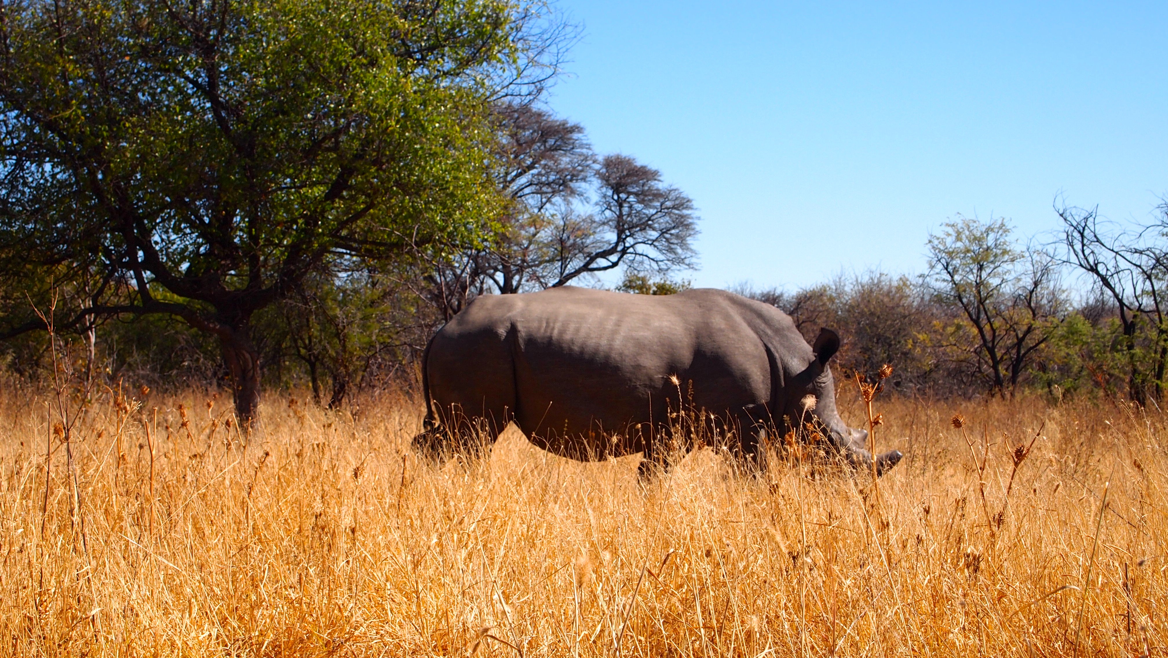 Matobo National Park, Zimbabwe