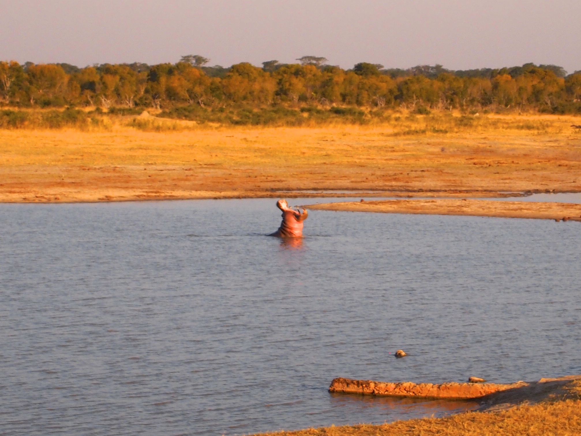 Hwange National Park, Zimbabwe