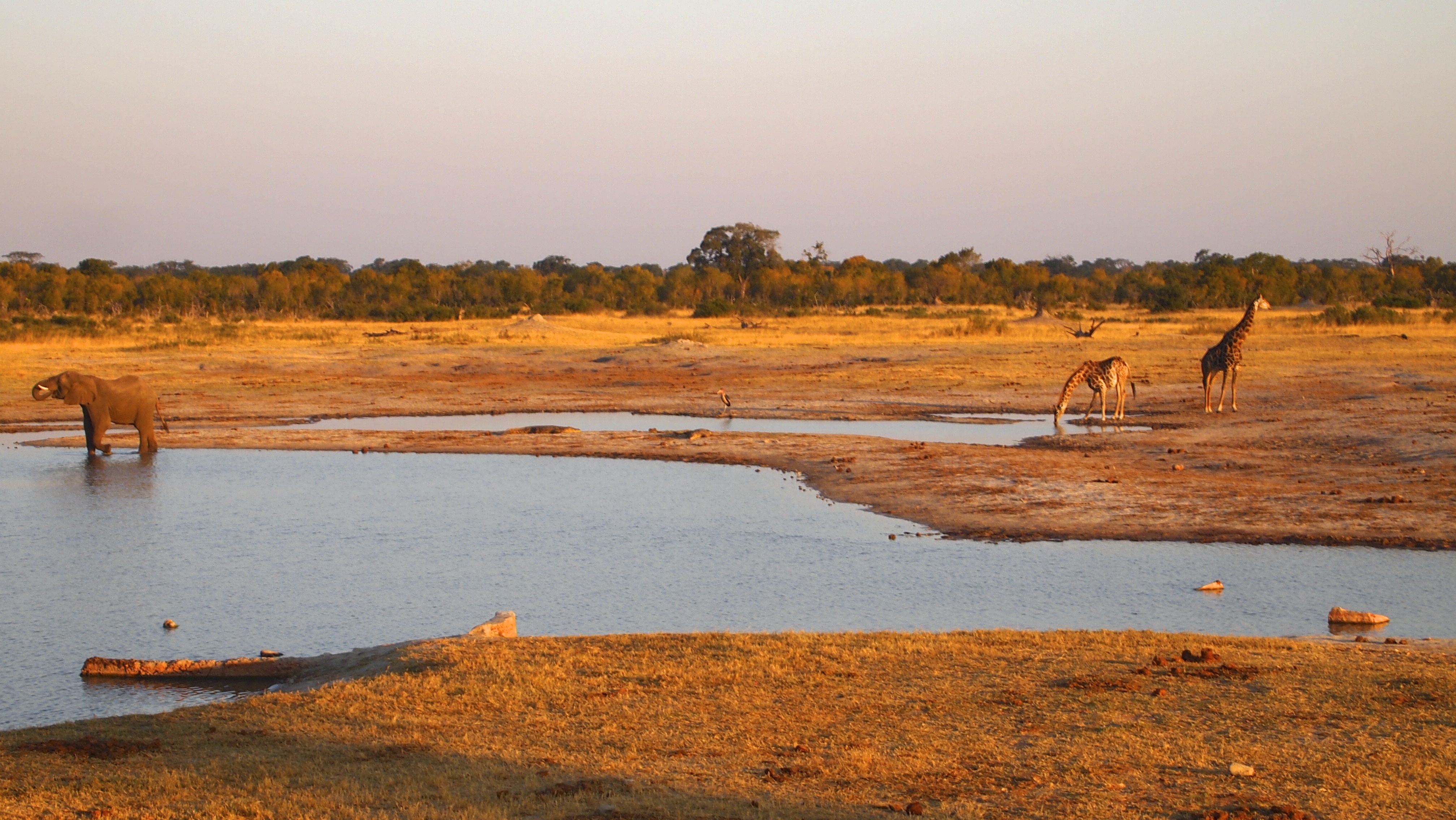 Hwange National Park, Zimbabwe