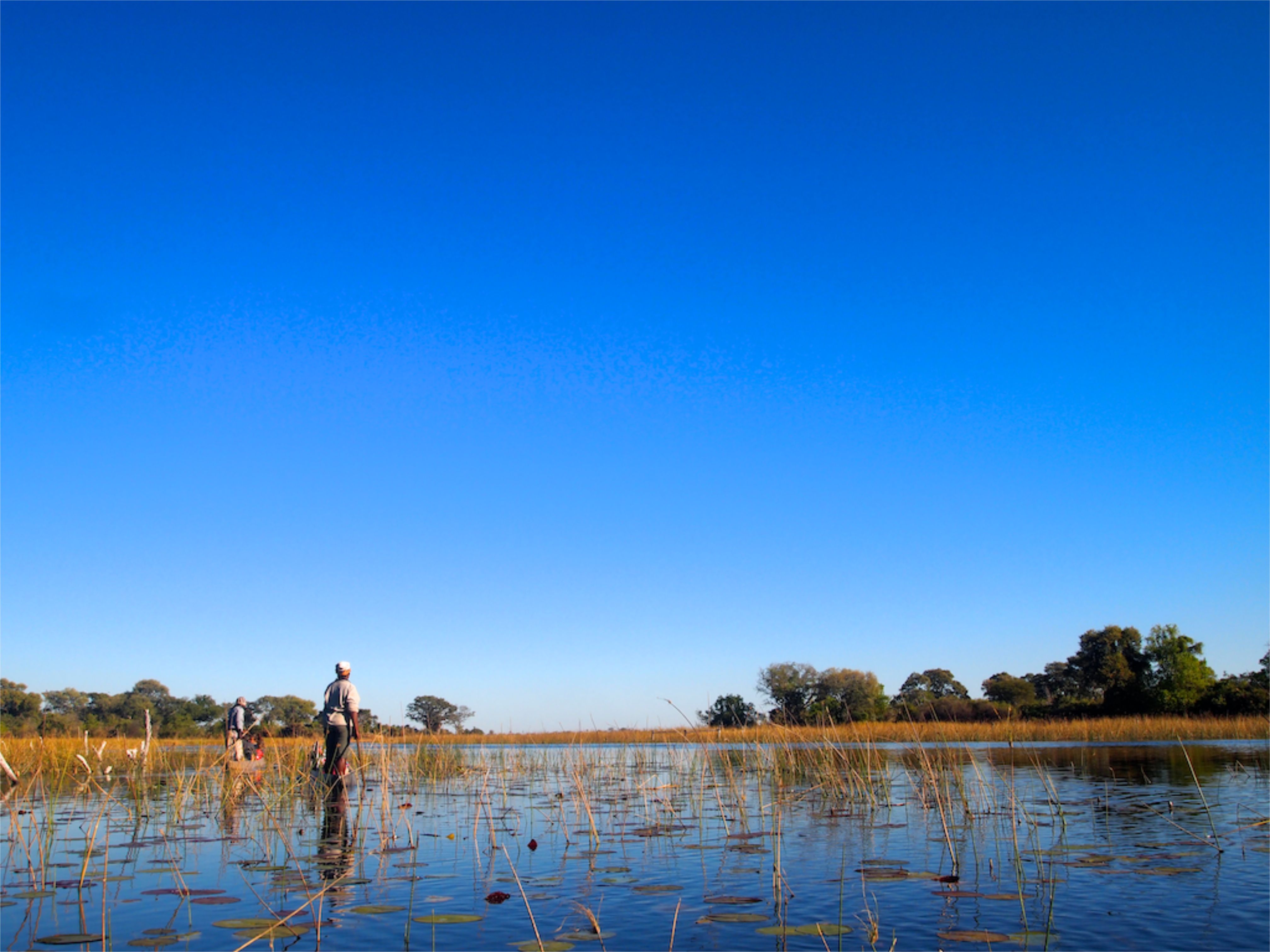 Okavango Delta, Botswana