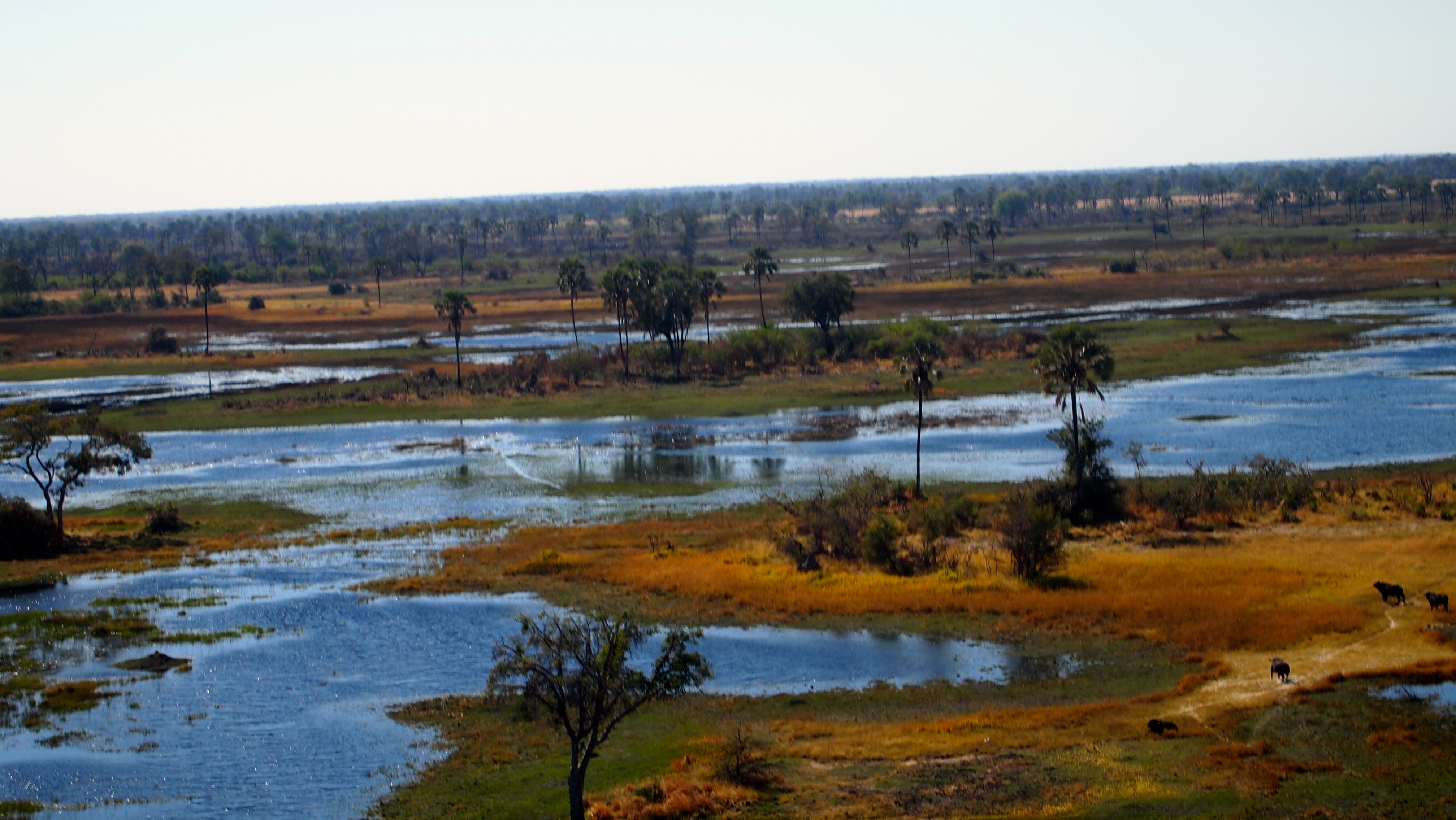 Okavango Delta, Botswana