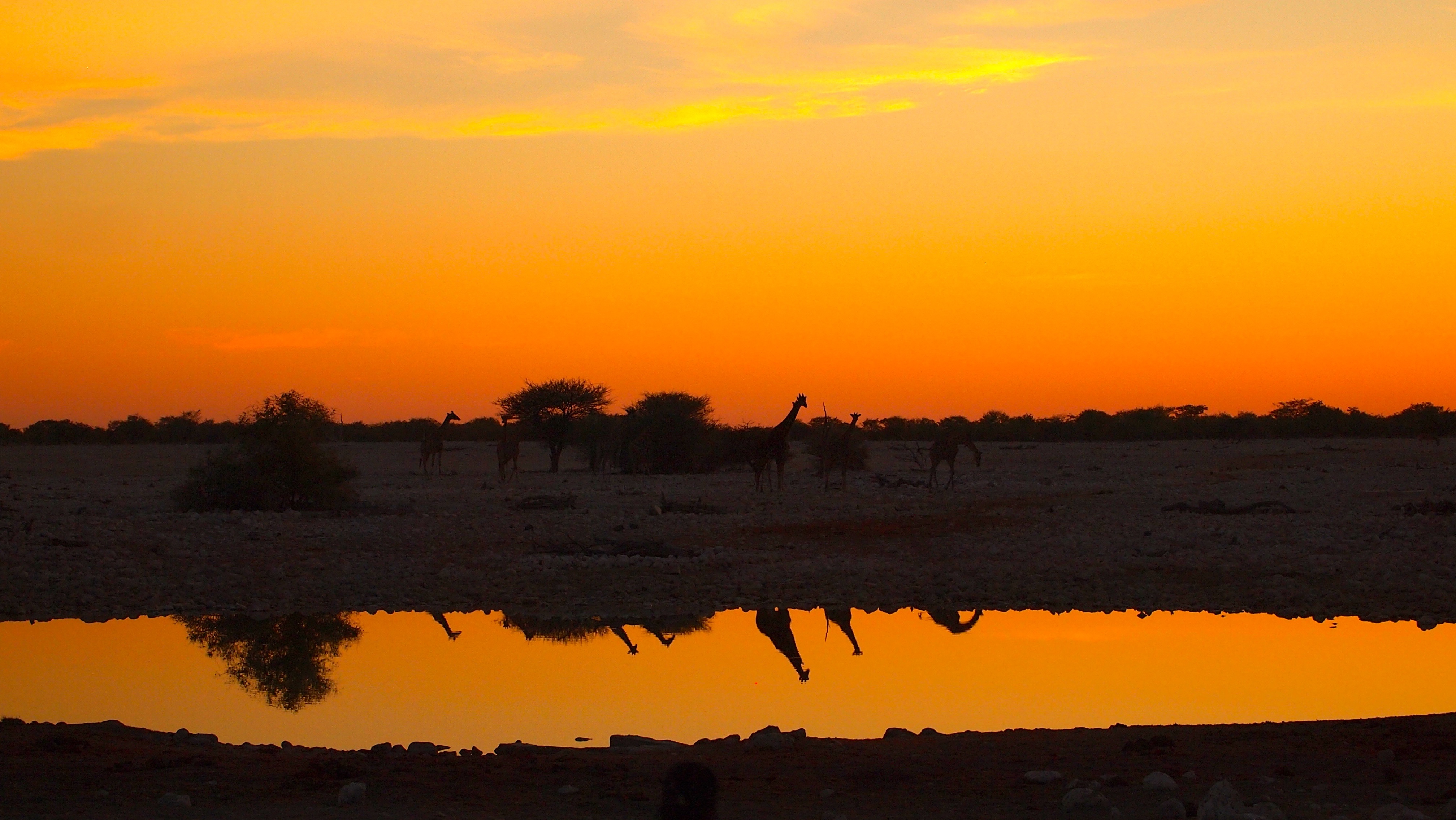 Etosha National Park, Namibia