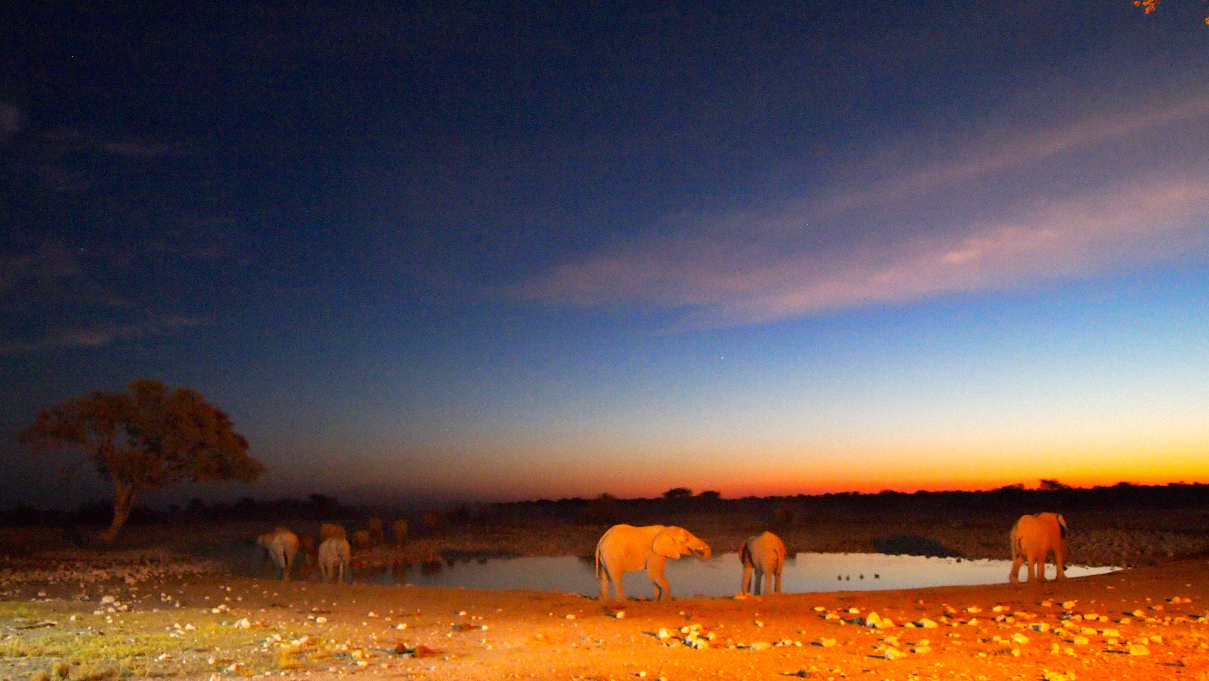 Etosha National Park, Namibia