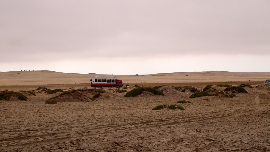 Cape Cross Seal Colony, Namibia