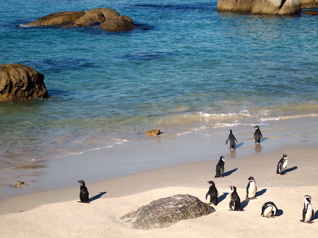 Simon's Town, South Africa