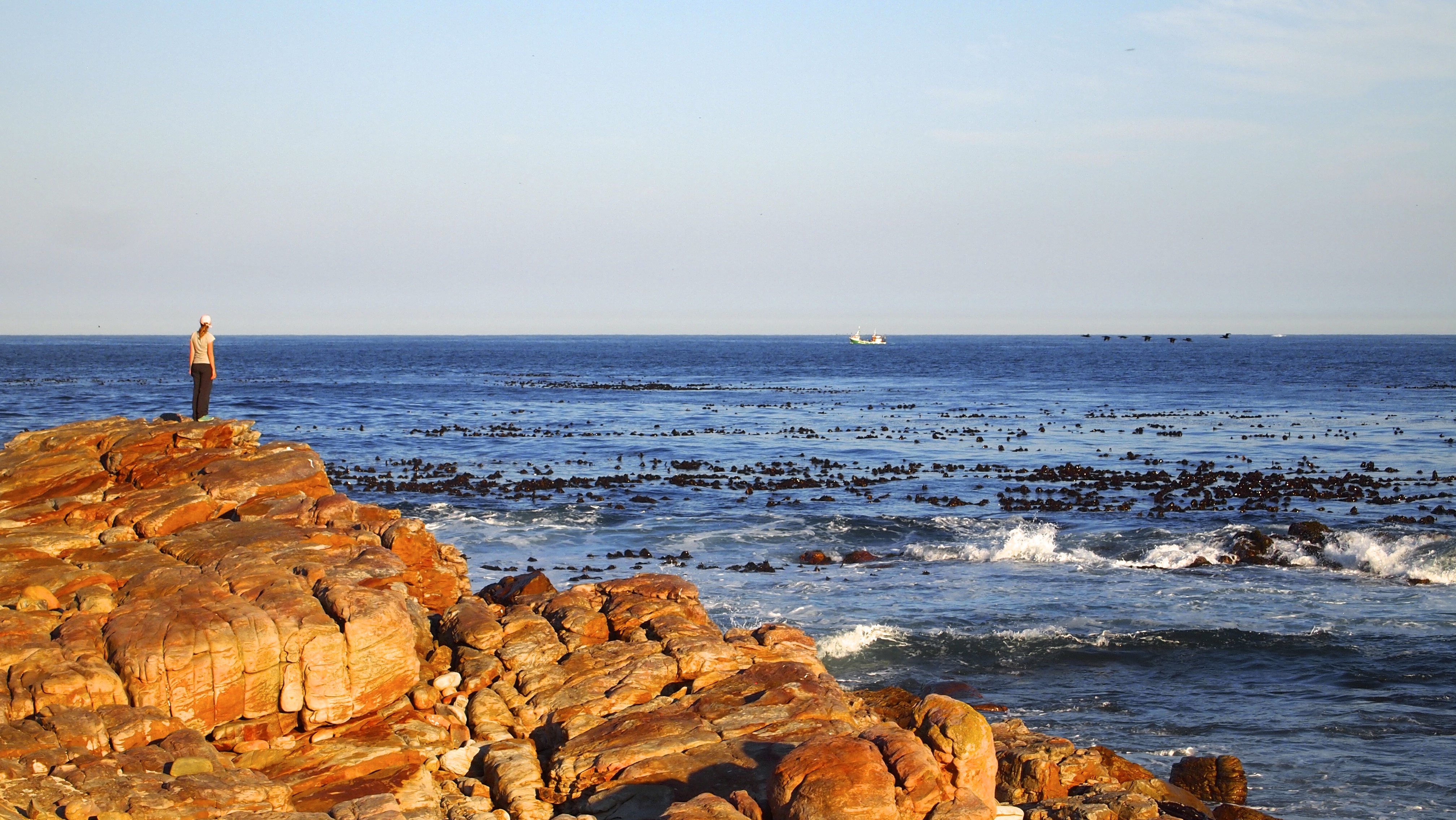 Cape Point, South Africa