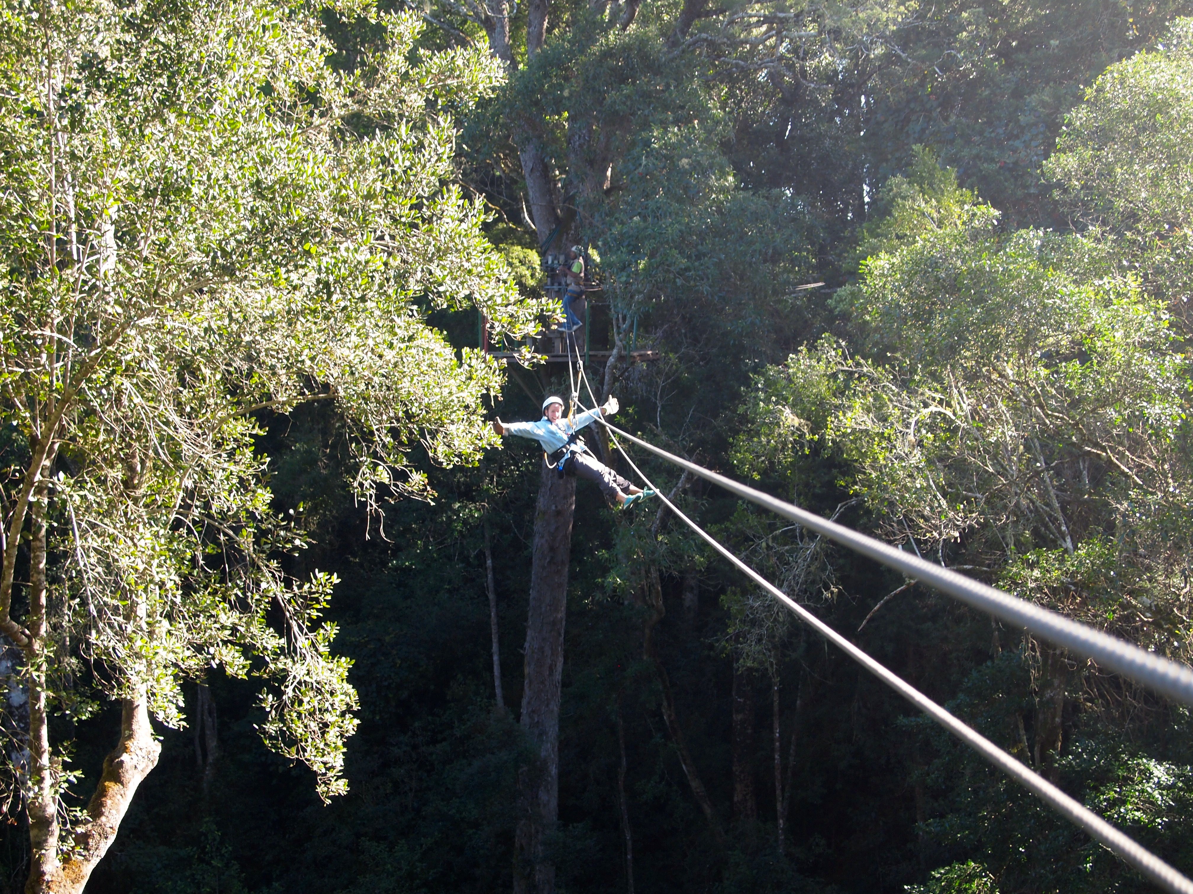 Tsitikamma Canopy Tour, South Africa