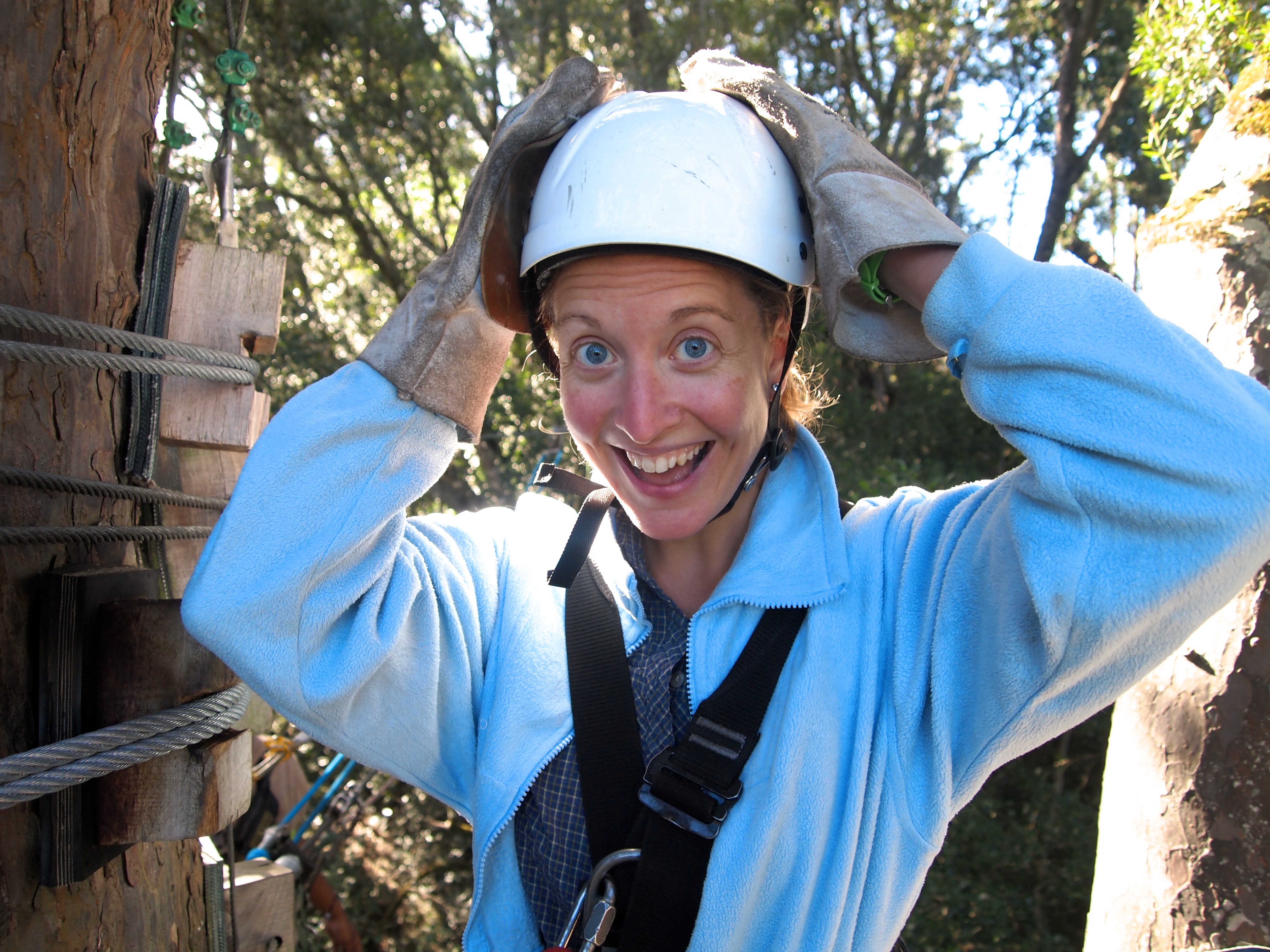 Tsitikamma Canopy Tour, South Africa