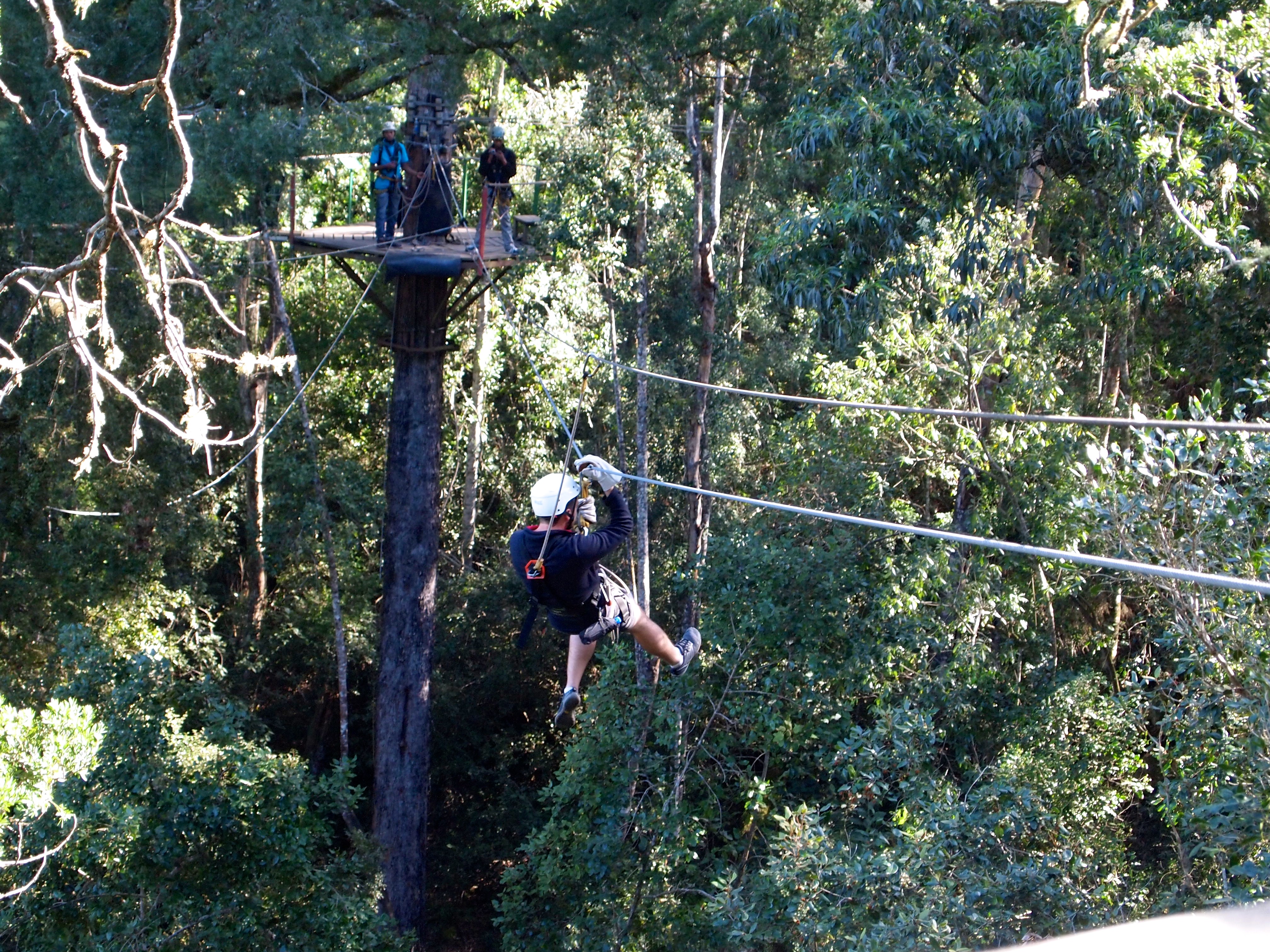 Tsitikamma Canopy Tour, South Africa