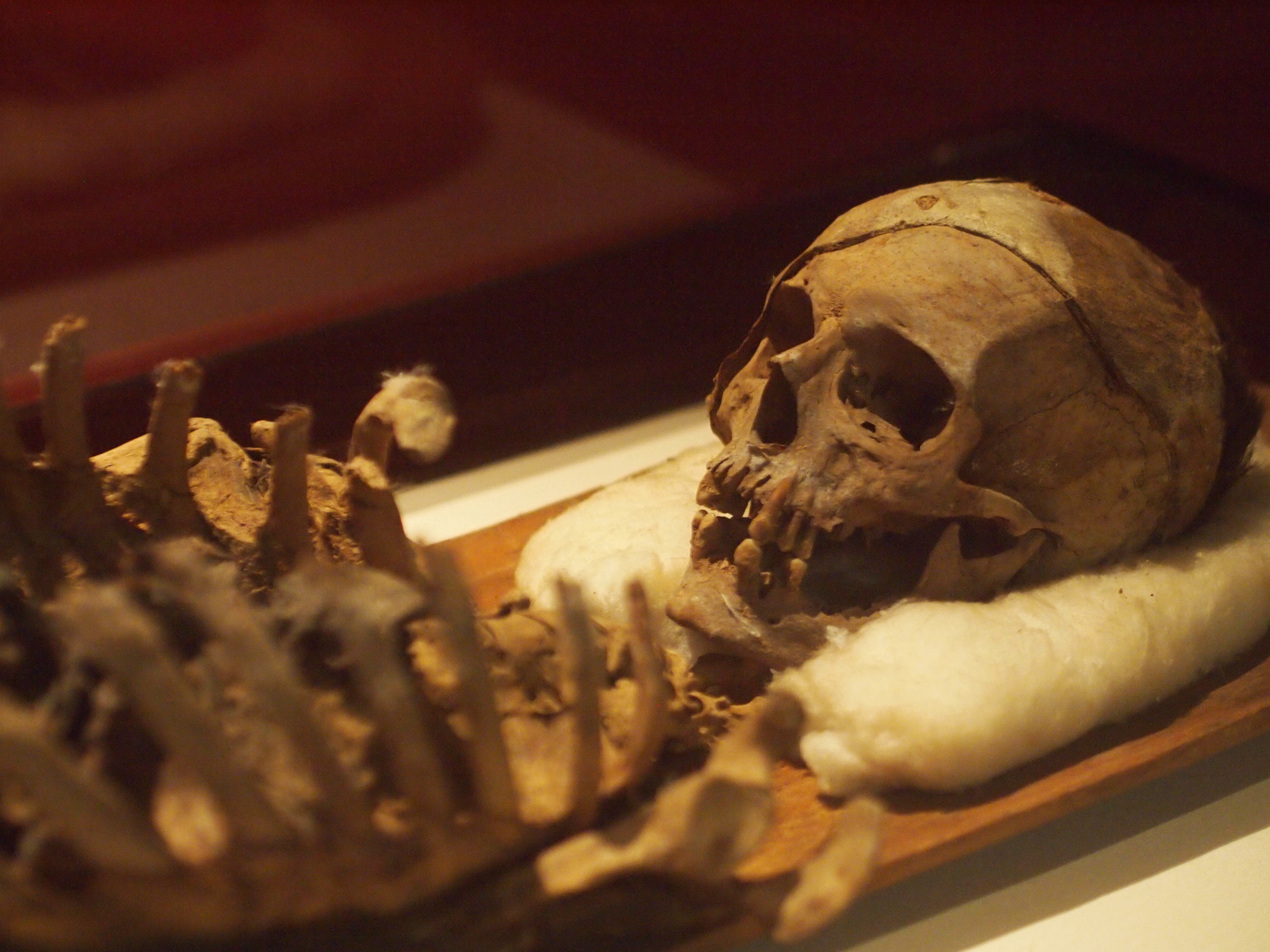 Istanbul Archaeology Museum -  Istanbul, Turkey