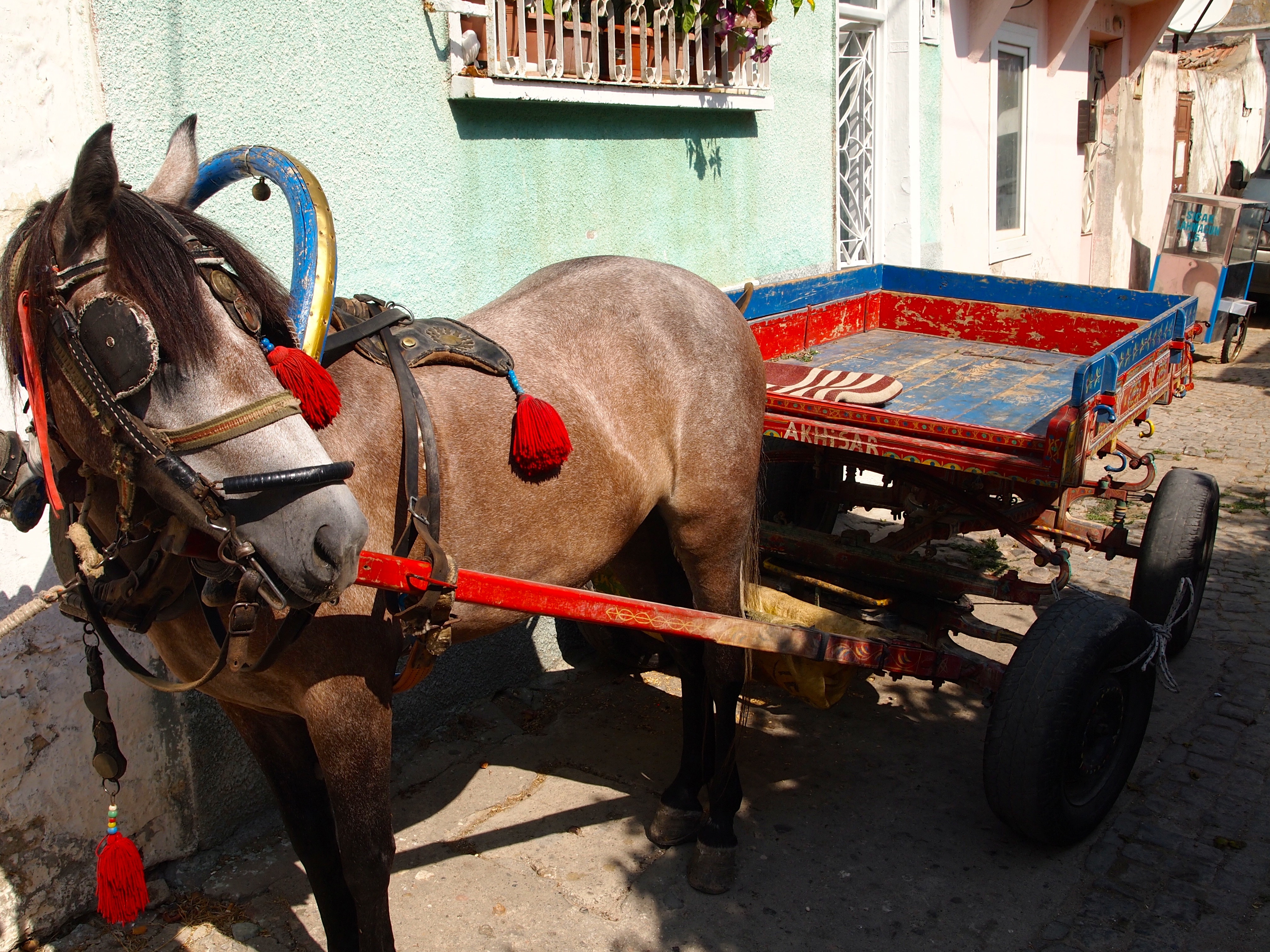 Thursday Market - Ayvalik, Turkey