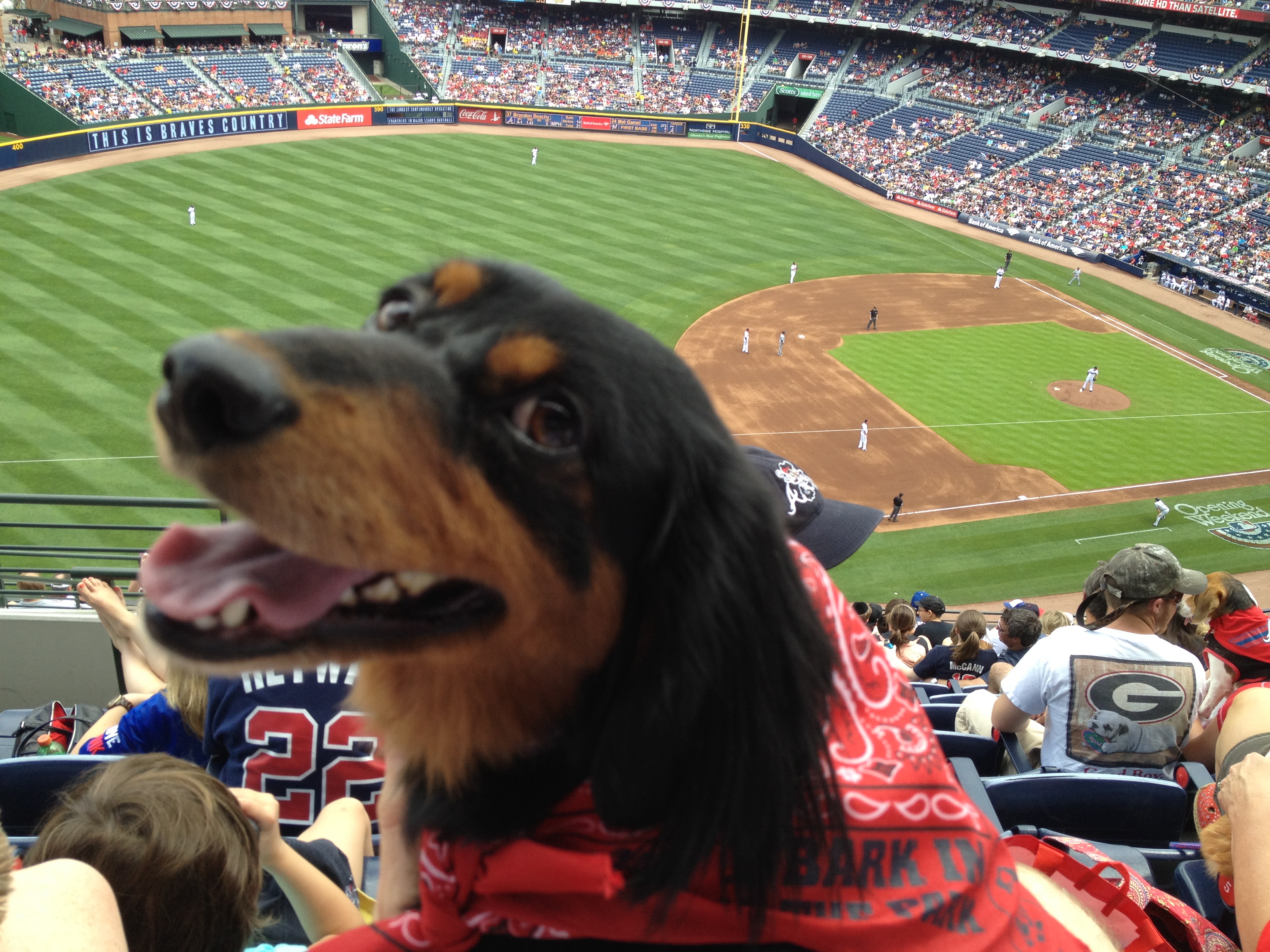 Heidi at the Braves game