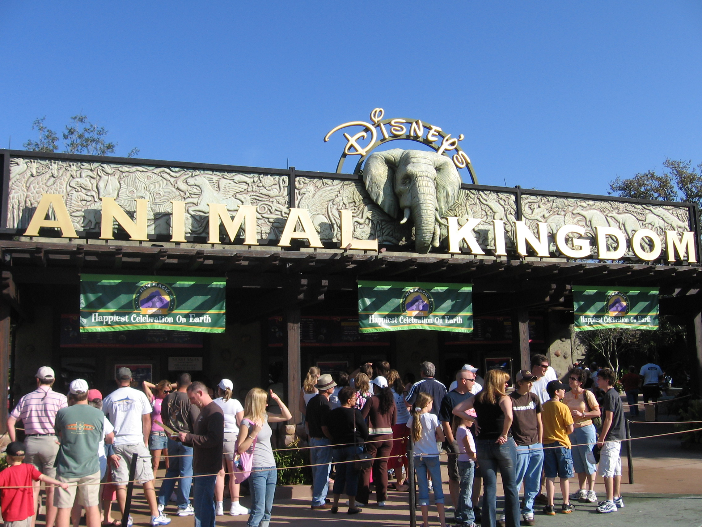Disney's Animal Kingdom -- the closest we've ever been to a safari